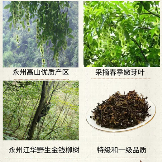
Fenghe Dalongshan Hunan Tea Yongzhou Jianghua Yao ethnic specialty wild green money willow tea Jinqian Liu tea health tea dry goods gift box Wild first-class gift box Jinqian Liu 125g/box