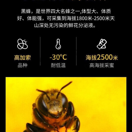 Guozigou Xinjiang Guozigou Black Honey Special Raw Honey Nourishing and Beauty Convenient Bottle 1 Bottle (500g)
