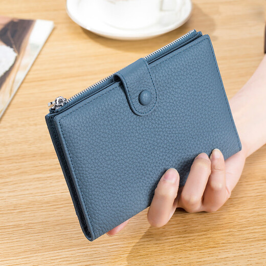VANLEMN Denmark anti-theft brush study abroad travel passport bag multi-functional storage document bag passport holder female card bag green