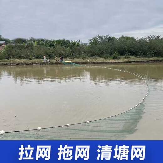 Yuxi grid thickened and weighted, drag net, drag net, fish net, fish net, clear pond net, partition net, scraper net, seine net, fish net, 4 finger eyes, 12 strands of thick line, 6 meters high, 50 meters long, with float and weight installed.