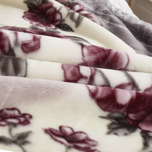 南极人拉舍尔毛毯加厚10斤双层保暖盖毯冬季加绒婚庆结婚送礼珊瑚绒毯子 水墨年华 180x220cm 约6斤