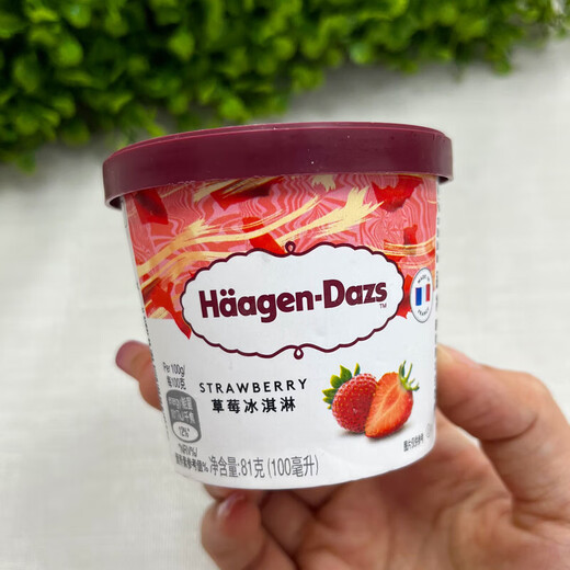 6 cups of Haagen-Dazs, 81g of Haagen-Dazs ice cream, small cold drink French ice cream, 6 cups of strawberries (486g)