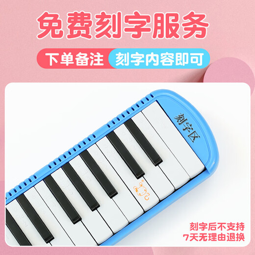 乐普森（YUEPUSEN）口风琴37键32键小学生专用初学儿童专业演奏级吹管琴初中生口吹琴 【37键黑色】一套吹管组