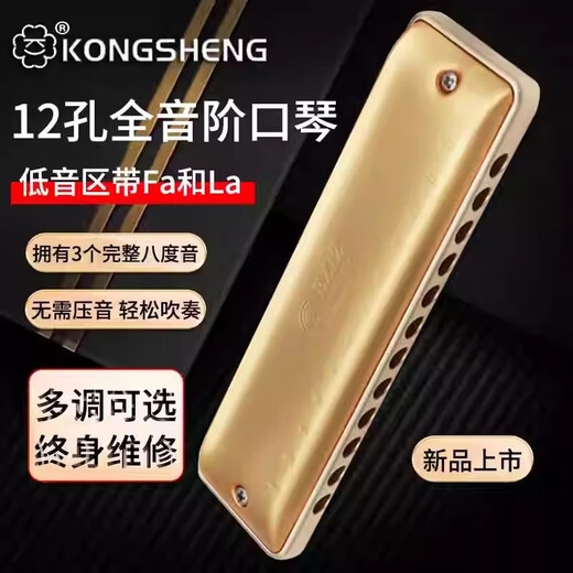 Loch Sound 12 Loch Gesamtskala Blues Harmonica EZ12 Anfänger Tuning Blues harmonica Erwachsener Performance Grad A-Tuning Gold (kein Notwendigkeit, den Klang zu drücken, und mit Bass 46 ausgestattet)