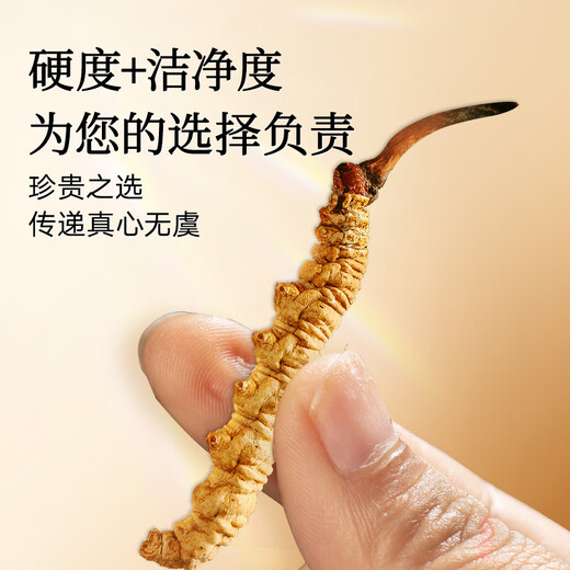 
Tongrentang Brand Beijing Tongrentang Cordyceps Cordyceps Tongtang Gift Box High-end High-end Gift Box for Elders 1 Box 6g Cordyceps Gift Box About 5 sticks/g (about 30 sticks)