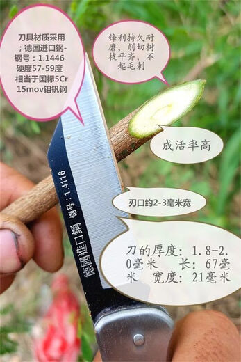 
Imported German steel grafting knife bud jointing knife professional special fruit tree knife right hand single blade: German imported steel: 14116