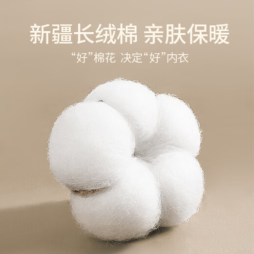 浪莎男士秋衣上衣单件内衣高端纯棉毛衫中老年人薄款保暖全棉线衣打底 【深灰+藏青】·2件上衣 XL /175