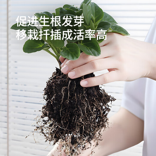 Stanley Rapid Rooting Powder Plant Universal Tree Transplanting Powerful Cutting Special 100g