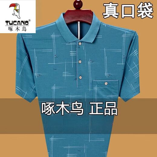 Holzspecker (Tucano) Sommer mittleren Alters mittleren Alters mit kurzem T-Shirt Lose Polo-Basis Hemd Großgröße halbärmelig T-Shirt Dad Herren Kleidung 753 hellgrün [Realtasche] 180/xxl Vorschlag 160180jin [Jin gleich 0,5 kg]