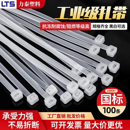 LTS国标尼龙扎带自锁式电脑装机理线带束线带园艺线缆固定捆扎大号小号绑带绳易拉得100条 黑色3*100国标2.5mm宽 100条