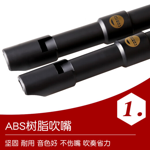 杉贝爱尔兰哨笛初学用成人入门C调D调锡笛亚光树脂磨砂6孔乐器 C调+D调+丰富+教材(套餐更划算)