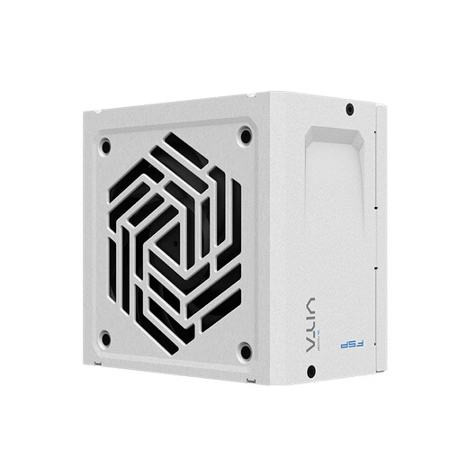 FSP VITA GM 850W Snow Edition Platinum Full Modular Power Supply (ATX3.1/PCle 5.1 12V-2x6 interface/105 Japanese capacitor/fully embossed cable)