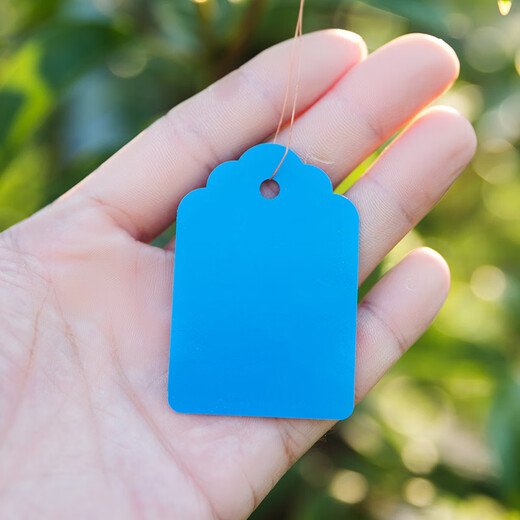 Shipton 100 pieces of hang tags, plant signs, tree signs, classification color cards, plastic waterproof, sun-resistant, non-fading PVC labels, 5*7cm powder, 100 pieces