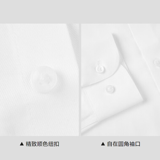 Hla Hailan Home Langarm Shirt Männer Frühling 25 Lapel Business DP No-Eisen-Shirt Männer