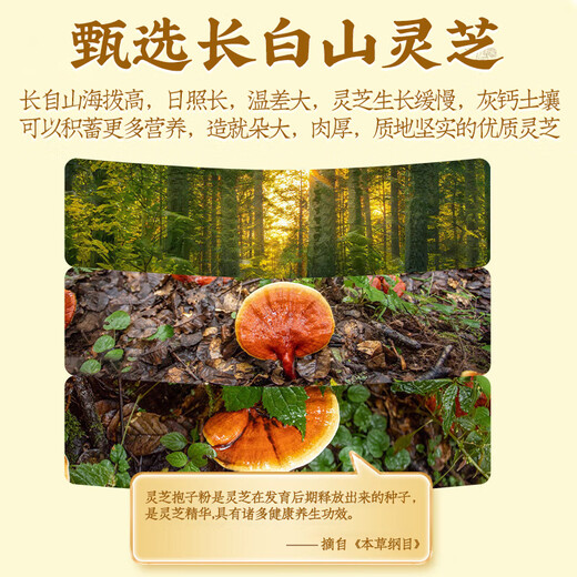 同仁堂灵芝孢子粉 破壁灵芝孢子粉 增强免疫力老人营养品礼品补品送长辈 增强免疫 送礼袋【30袋*3盒】