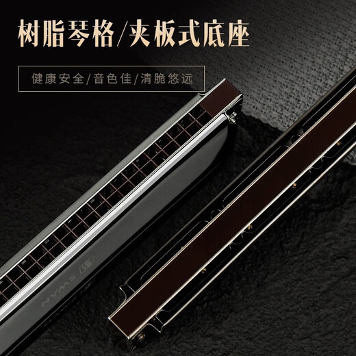 Гугуангский высококлассный немецкий импортный гонг C Tune Harmonica для высококлассных студентов для начинающих для взрослых, чтобы играть в подарки 24 лунки [высокий уровень дворца] Black Accent C Tune