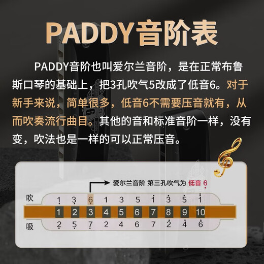 Boogieman [gleiches Modell in Yuanyuan] PROREEDS Ten-Accent Paddy Blues Erwachsener Professional spielen Blues