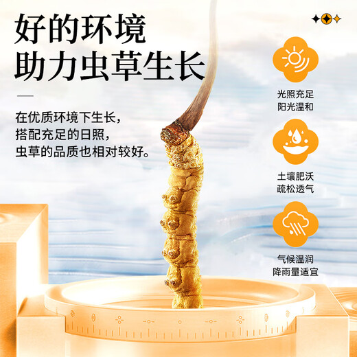 雷允上断草10g冬虫夏草干货 自用家庭实惠装老年人营养品父亲节礼物