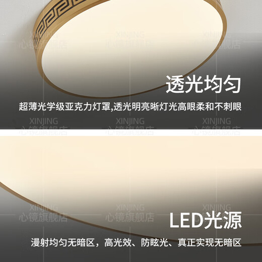 心镜全铜吸顶灯别墅入户灯室外防水阳台灯庭院过道走廊超薄防蚊虫顶灯 X3891-400*600/长方形