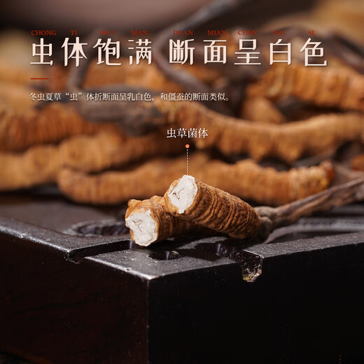 Hu Qingyutang Cordyceps Geschenkbox 8g, Tianhao 50# Tibet Wild Cordyceps ungefähr 40 Stück, Vatertagsgeschenk für Älteste
