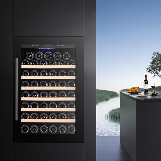 Bacchus wine cabinet built-in 48-pack thermostatic wine cabinet home wine champagne storage wine cabinet ice-freezer cabinet foreign wine home kitchen living room villa wall cabinet YC-110 black single temperature air-cooled compressor fully built-in 48 bottles