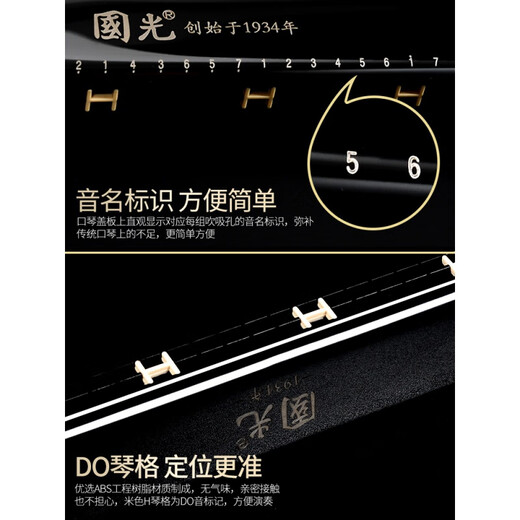 国光口琴24/28孔复音重音c调宽音域口风琴初学者入门学生演奏 28孔 重音宽音域富贵银送全套