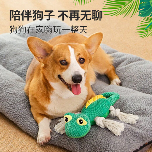 HOUYA Dog Sounding Toy Lizard Shape Bite-Resistant Puppy Grinding Teeth Relieve Boredom Pet Teddy Pet Supplies for Large and Small Dogs