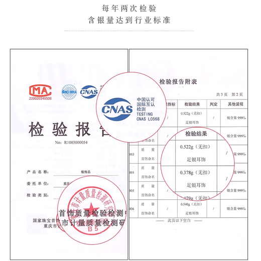 Idel 999 Pure Silver Ear Hole Earrings for Women Camellia Fashion Ear Jewelry Earrings Valentine's Day Birthday Gift for Girlfriend 999 Pure Silver Camellia + 7 Warehouse Shipping/Same Day Next Day E3136