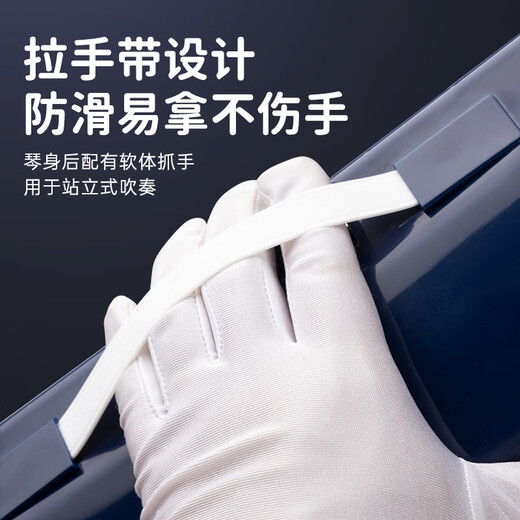 FEIFAN飞繁 口风琴37键成人专业演奏级小学生专用儿童初学者吹管乐器