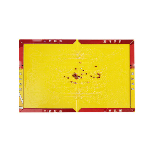 Laiyu strong sticky mouse board, mouse sticky stickers, sticky mouse glue, mouse glue, individually packaged