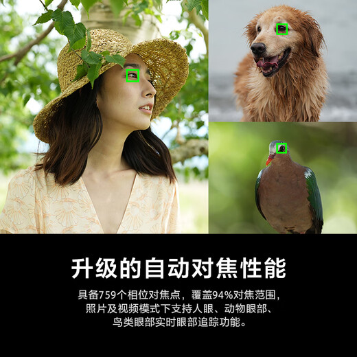 Sony (SONY) Alpha 7 IV full-frame mirrorless digital camera (A7M4) creative appearance filter + SEL2450G new standard zoom lens set