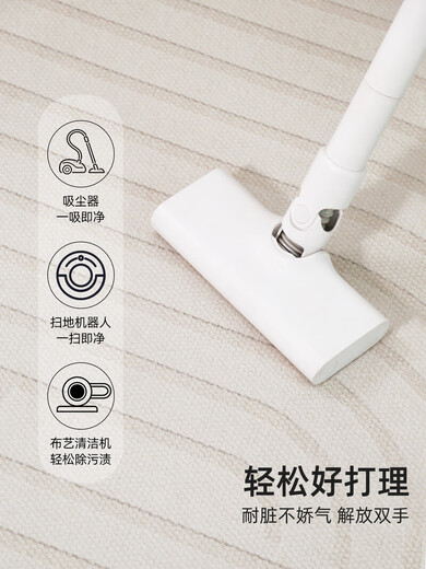 匹冠奶油风地毯客厅高级感2024新款家用沙发茶几地毯卧室防水免洗可擦 佐伊15934 160cm*230cm
