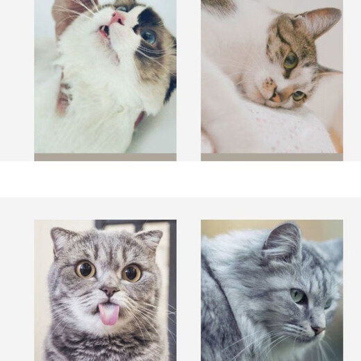 Cat gloves, cat comb to remove floating hair, dog hair comb, cat supplies, pet shedding, cat hair cleaner, hair removal, blue model, 1 right hand