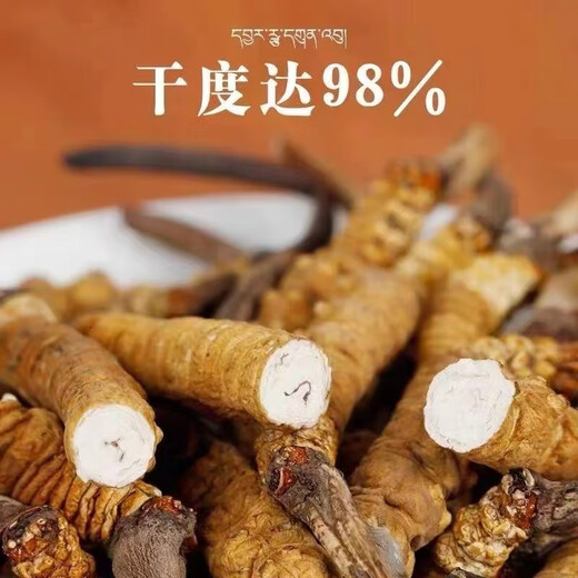 冬虫夏草（支持质检）藏区雪域虫草断草整肉纯肉节冬虫夏草干断草 冬虫夏草大断草20克送2克 提高免疫力