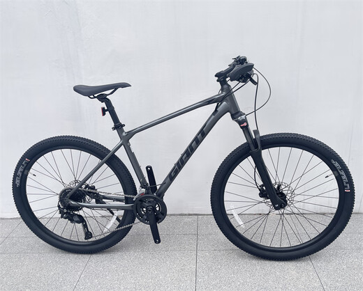 Géant ATX830 Étudiant masculin Commuter VTT VTT Bélo