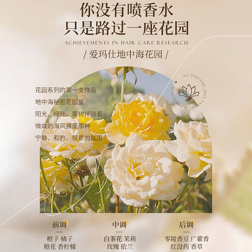 Fan Yongchen Camellia Conditioner Repairs, Improves Dry, Frizzy, Smooth Hair Children's Conditioner Hair Mask for Men and Women