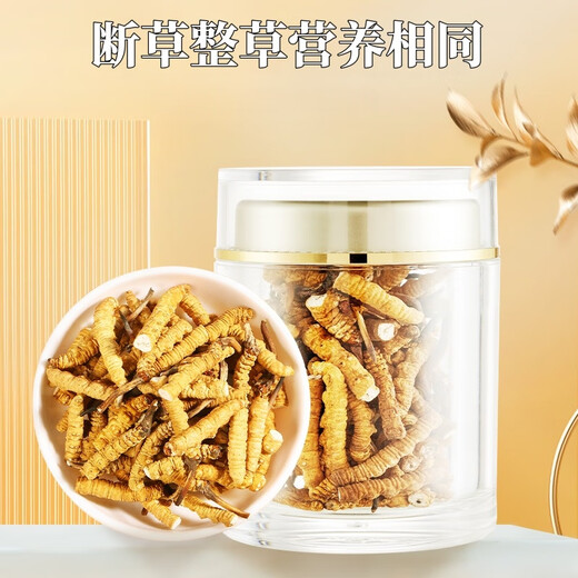 Cordyceps Cordyceps Genuine Cordyceps Cordyceps Cordyceps Cordyceps Cordyceps Cordyceps Cordyceps Cordyceps Cordyceps Cordyceps Cordyceps Cordyceps Cordyceps Cordyceps Cordyceps Cordyceps Cordyceps Cordyceps Cordyceps Cordyceps Cordyceps Cordyceps Cordyceps Cordyceps Cordyceps Cordyceps Cordyceps Cordyceps Cordyceps Cordyceps Cordyceps Cordyceps Cordyceps Cordyceps Cordyceps Cordyceps Cordyceps Cordyceps Cordyceps