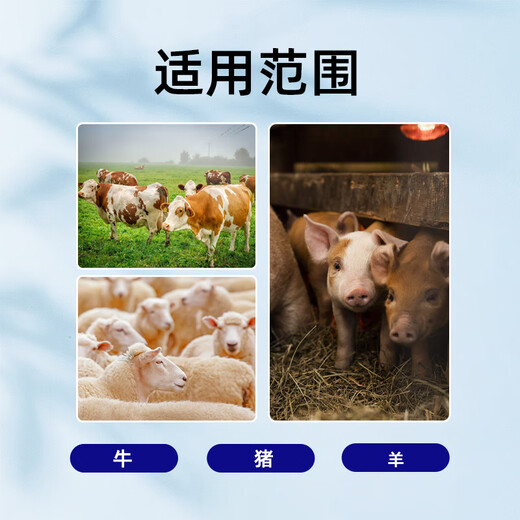 Appetizer for male animal husbandry, king pig, cattle and sheep, appetizer, digestion and growth promotion, pig fattening, weight gain, spleen appetizer, meat growth and stomach strengthening powder. Buy 5 and get 1 free. 6 bags.