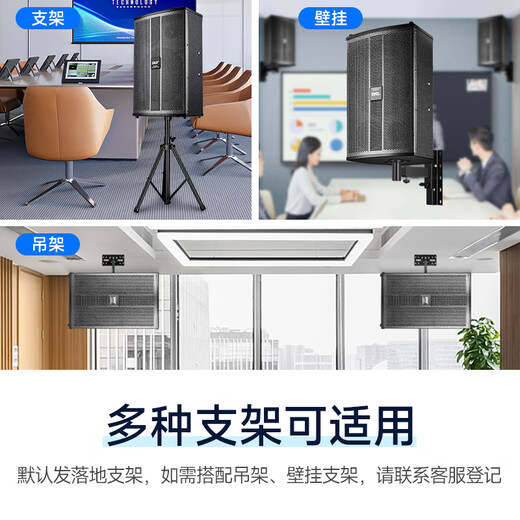 XIANKE (SAST) Professional Small and Medom Tames Conference Equipo de audio Conjunto completo de amplificador de micrófono inalámbrico Juego de audio Conferencia de formación de música de fondo Conferencia especial Bluetooth Amplificador Bluetooth Altavoz montado en la pared [Dos conjuntos de audio de conferencia de 12 pulgadas] Micrófono dual (100-220 metros cuadrados)