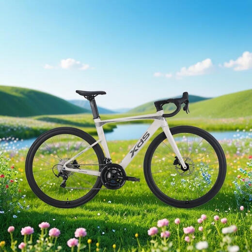 喜德盛（xds）公路自行车AD350破风架20速油碟桶轴四培林花鼓2024 25款AD300-奶油黄白 【整车安装】 480mm (身高165-175cm)