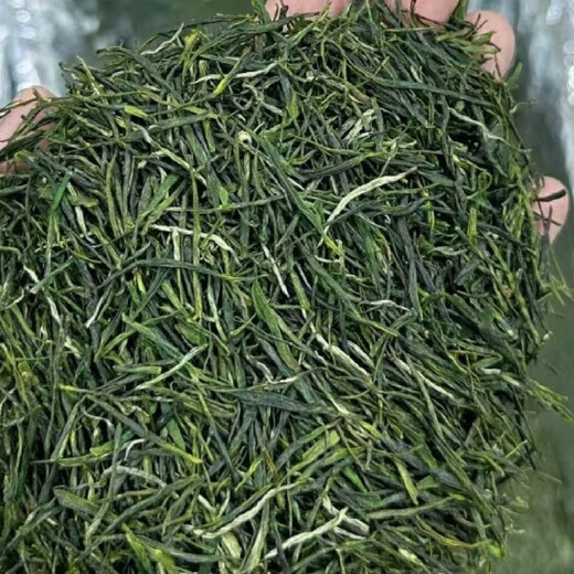 Ganxiangpo 2024 new tea Yuqian tea Maojian tea Dawu Dabie mountain tea Xiaogan Huanggang Macheng Hong'an Yunwu straight strip Maojian 1000g Yuqian bud Maojian teahouse pack