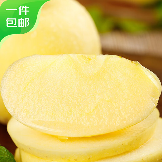 Jingxiansheng Shandong Golden Venus Apple Net weight 3Jin Jin is equal to 0.5kg Single fruit 160g+ Fresh in season Straight from the source