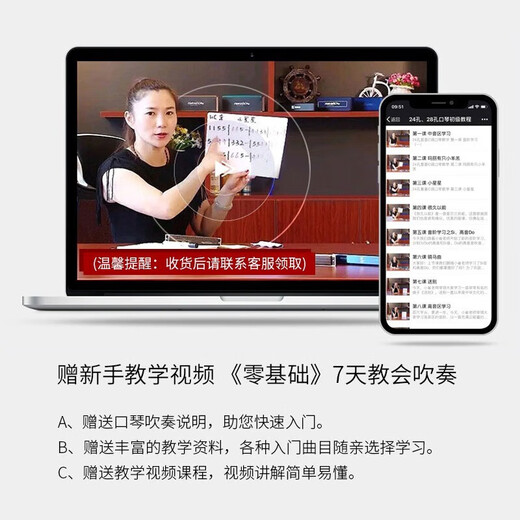 国光国光进口音簧口琴专业演奏级复音高端重音初学入门成人自学送礼 24孔 黑色C调【演奏级音质】