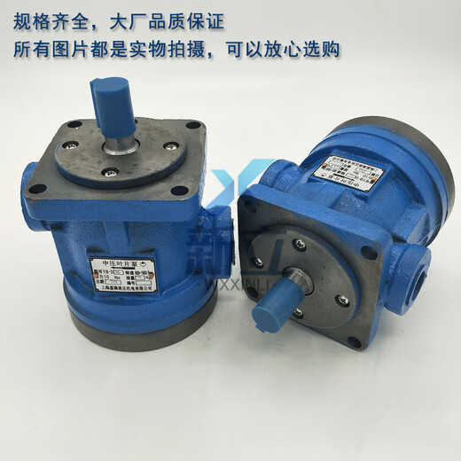 Jingsenzhen medium pressure vane pump YB-D6.3 YB-D100