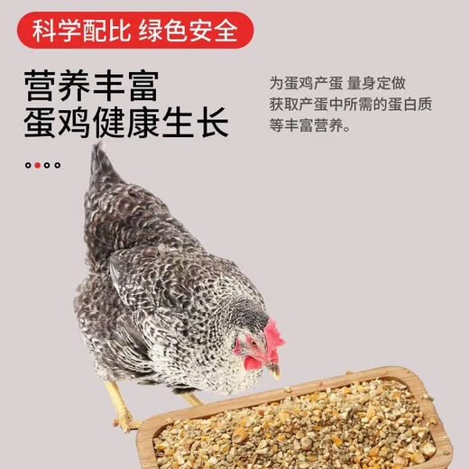 Laying hen feed full price feed chicken corn crumbs laying hen medium and large chicken household chicken food duck quail chicken feed 10Jin Jin is equal to 0.5 kg layer hen feed