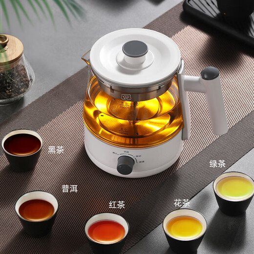 Biooner tea kettle, spray type tea kettle, steam type black tea kettle, office home kettle, mini health pot flower tea kettle, white (upgraded with insulation) 0.8L
