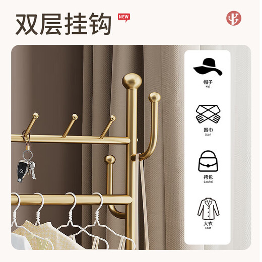 DSRAWMYT衣帽架 落地卧室多功能晾衣服带镜子移动加粗穿衣镜挂衣架一体