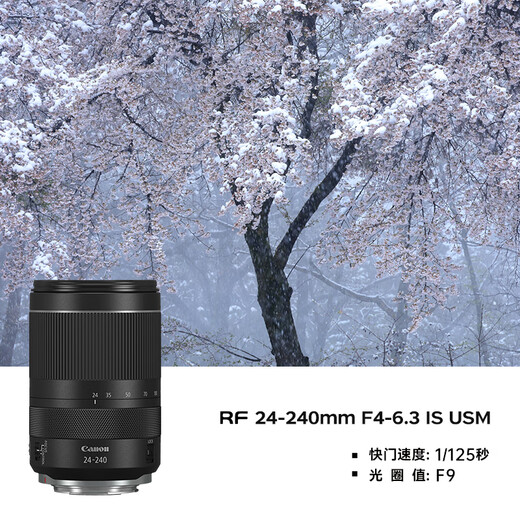 Canon r5 professional mirrorless camera, bird shooting equipment, digital camera, eos r5 full frame Vlog camera, 8K video shooting, place an order for Labubu & Jindou R5 disassembled body + RF24-105 IS USM set, package 2, upgraded original shoulder bag + customized photography backpack with high capacity backup battery