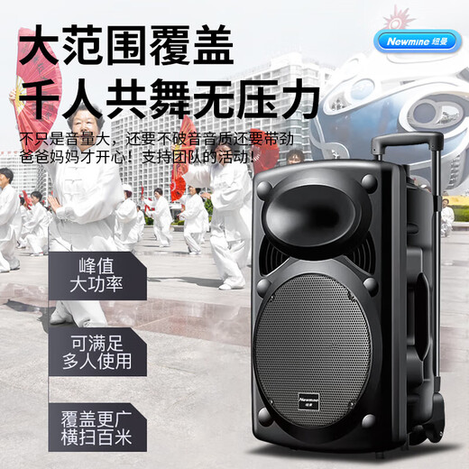 Newman B12 square dance audio 12-inch outdoor karaoke subwoofer Bluetooth audio portable mobile stage trolley speaker amplifier high-power subwoofer B12 40W standard version + dual microphones