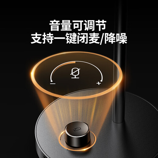 Greenlink USB computer desktop microphone condenser microphone wireless DSP intelligent noise reduction desktop notebook karaoke live online class voice conference suitable speaker 35344